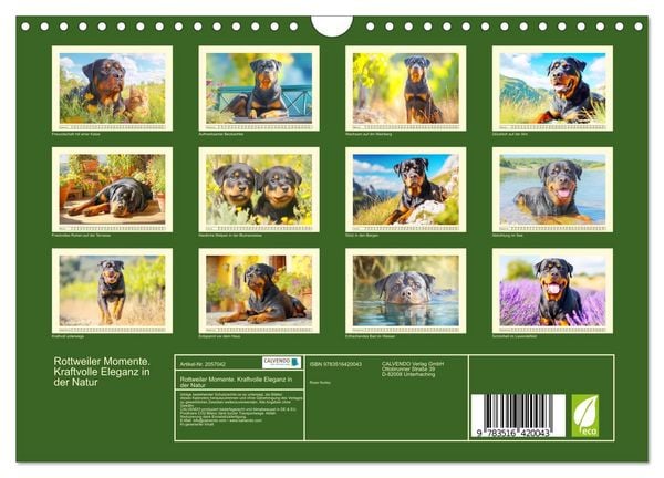 Produktbild: Rottweiler Momente. Kraftvolle Eleganz in der Natur (Wandkalender 2026 DIN A4 quer), CALVENDO Monatskalender