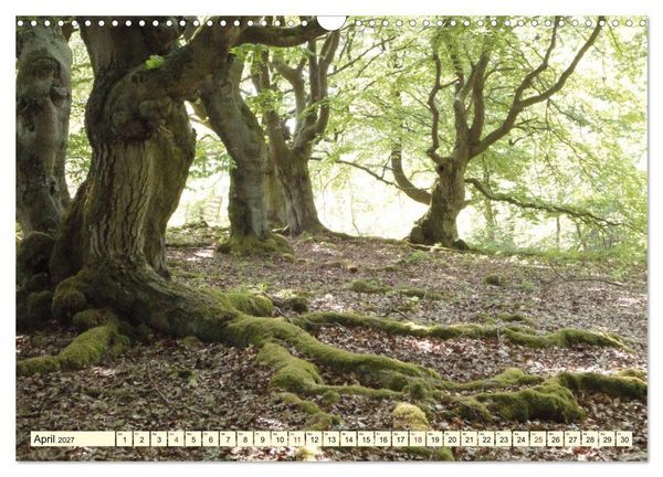 Produktbild: Zauberhaftes, die Natur als K&uuml;nstler (Wandkalender 2027 DIN A3 quer), CALVENDO Monatskalender