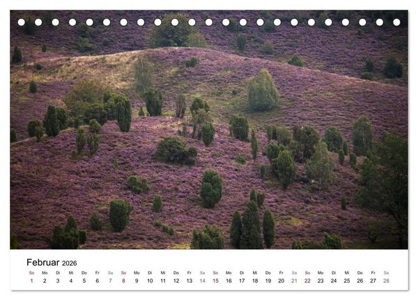 Produktbild: L&uuml;neburger Heide (Tischkalender 2026 DIN A5 quer), CALVENDO Monatskalender