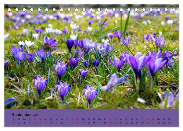 Produktbild: Kurpark Baden-Baden (Tischkalender 2026 DIN A5 quer), CALVENDO Monatskalender