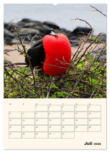 Produktbild: Ecuador - Terminplaner (Wandkalender 2026 DIN A2 hoch), CALVENDO Monatskalender
