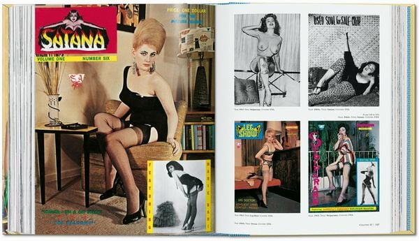 Produktbild: Dian Hanson&rsquo;s: The History of Men&rsquo;s Magazines. Vol. 4: 1960s Under the Counter
