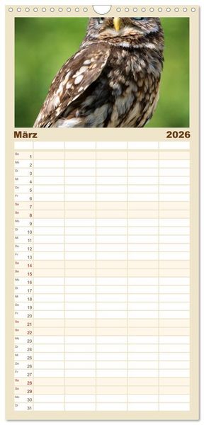 Produktbild: Familienplaner 2026 - Eulen. Gefiederte Weisheit mit 5 Spalten (Wandkalender, 21 x 45 cm) CALVENDO