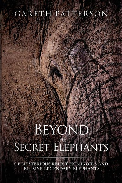 Produktbild: Beyond the Secret Elephants