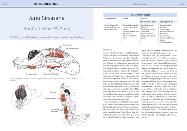 Produktbild: Yoga-Anatomie