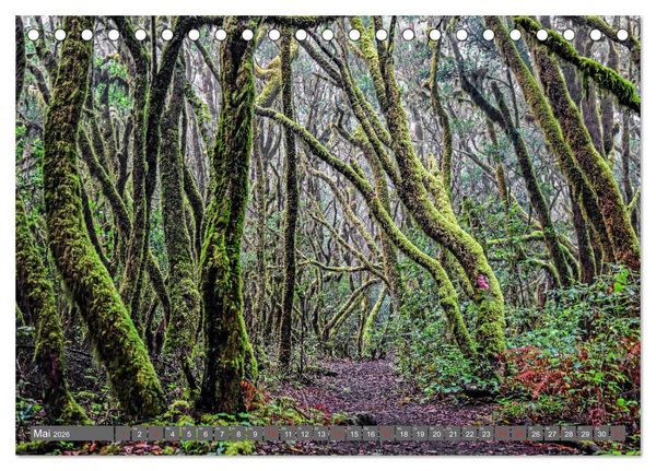 Produktbild: Wandern auf La Gomera (Tischkalender 2026 DIN A5 quer), CALVENDO Monatskalender
