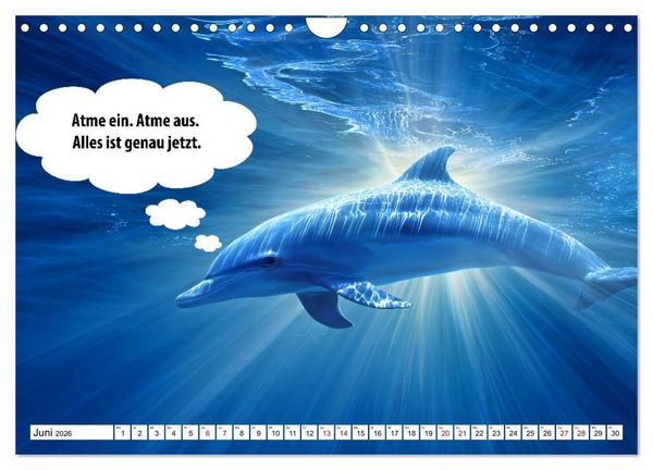 Produktbild: Stille Pfoten, weise Worte - Tiere zeigen dir den Weg zu mehr Gelassenheit (Wandkalender 2026 DIN A4 quer), CALVENDO Monatskalender