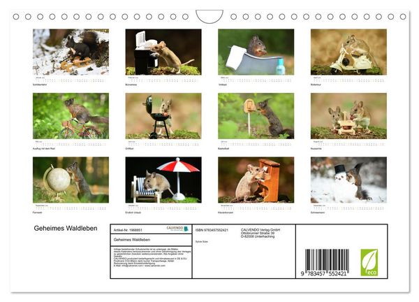 Produktbild: Geheimes Waldleben (Wandkalender 2026 DIN A4 quer), CALVENDO Monatskalender