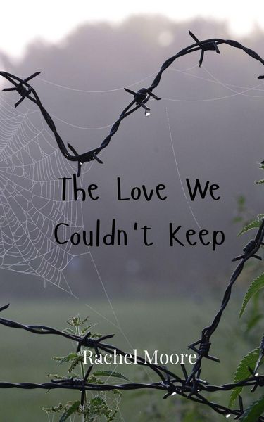 Produktbild: The Love We Couldn't Keep