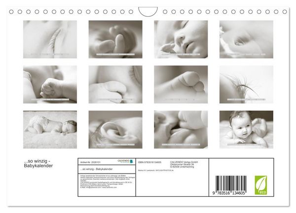 Produktbild: ...so winzig - Babykalender (Wandkalender 2026 DIN A4 quer), CALVENDO Monatskalender