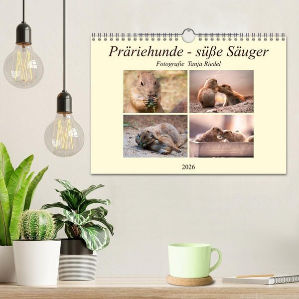 Produktbild: Pr&auml;riehunde - s&uuml;&szlig;e S&auml;uger (Wandkalender 2026 DIN A4 quer), CALVENDO Monatskalender