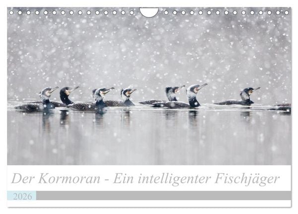 Der Kormoran - Ein intelligenter Fischjäger (Wandkalender 2026 DIN A4 quer), CALVENDO Monatskalender