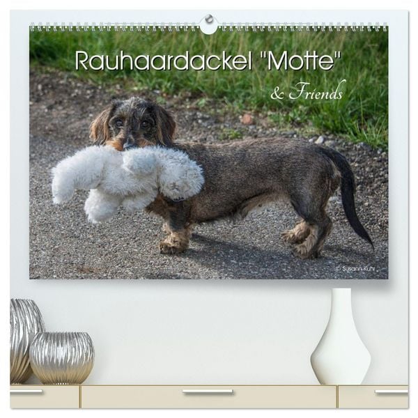 Produktbild: Rauhaardackel Motte & Friends (hochwertiger Premium Wandkalender 2026 DIN A2 quer), Kunstdruck in Hochglanz