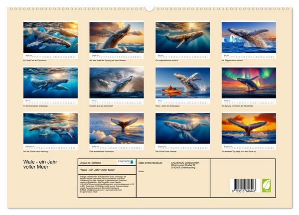Produktbild: Wale - ein Jahr voller Meer (hochwertiger Premium Wandkalender 2026 DIN A2 quer), Kunstdruck in Hochglanz