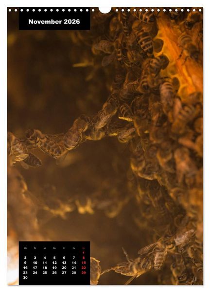Produktbild: Bienen in ihrem geheimen Reich (Wandkalender 2026 DIN A3 hoch), CALVENDO Monatskalender
