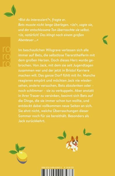 Produktbild: Ein Wiedersehen im Sommer