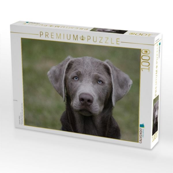 Produktbild: CALVENDO Puzzle Labrador-Welpe | 1000 Teile Lege-Gr&ouml;&szlig;e 64x48cm Foto-Puzzle f&uuml;r gl&uuml;ckliche Stunden