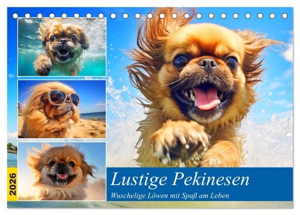 Produktbild: Lustige Pekinesen. Wuschelige L&ouml;wen mit Spa&szlig; am Leben (Tischkalender 2026 DIN A5 quer), CALVENDO Monatskalender