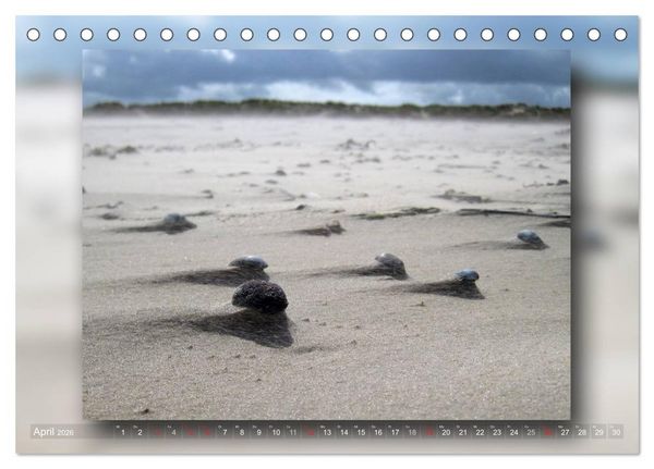 Produktbild: Baltrum - Ein Tag am Strand (Tischkalender 2026 DIN A5 quer), CALVENDO Monatskalender