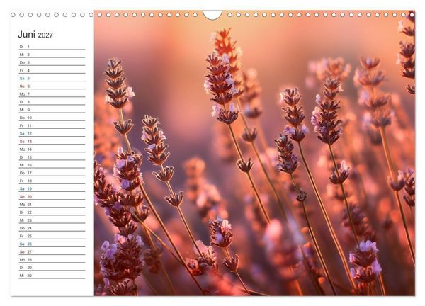 Produktbild: Ein Hauch von S&uuml;den (Wandkalender 2027 DIN A3 quer), CALVENDO Monatskalender