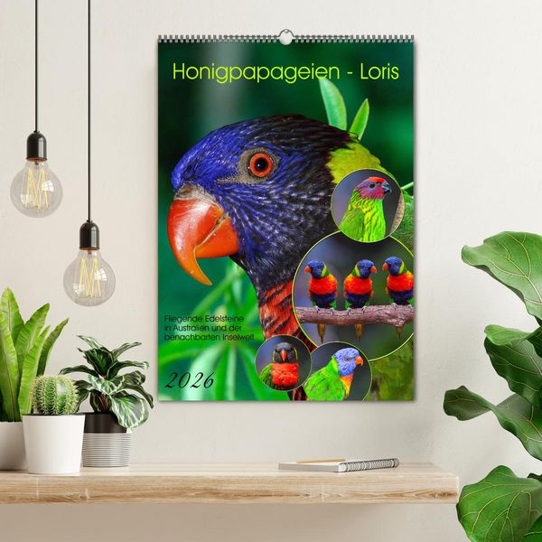 Produktbild: Honigpapageien - Loris (Wandkalender 2026 DIN A2 hoch), CALVENDO Monatskalender