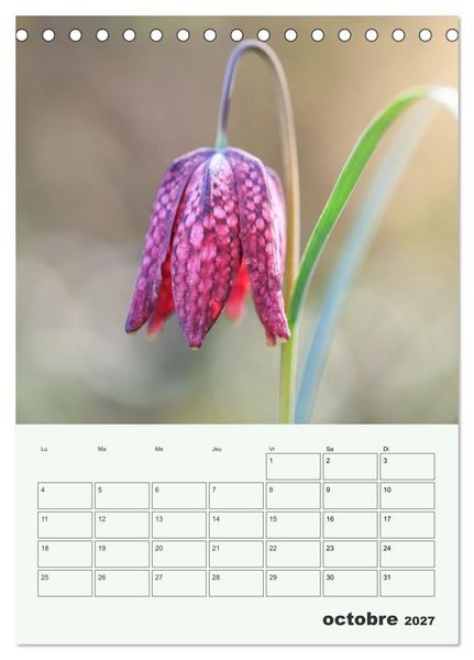 Produktbild: Les fleurs, &eacute;ternelles &eacute;phem&egrave;res (Calendrier de bureau 2027 DIN A5 horizontal), CALVENDO calendrier mensuel
