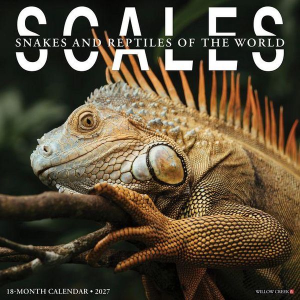 Produktbild: Scales 12 X 12 Wall Calendar