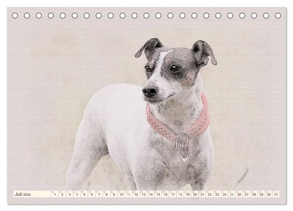 Produktbild: Bodeguero Andaluz 2026 (Tischkalender 2026 DIN A5 quer), CALVENDO Monatskalender