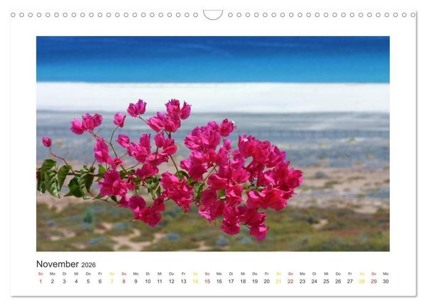 Produktbild: Fuerteventura (Wandkalender 2026 DIN A3 quer), CALVENDO Monatskalender