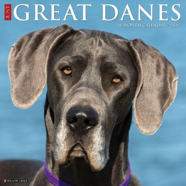 Produktbild: Great Danes 2026 Wall Calendar