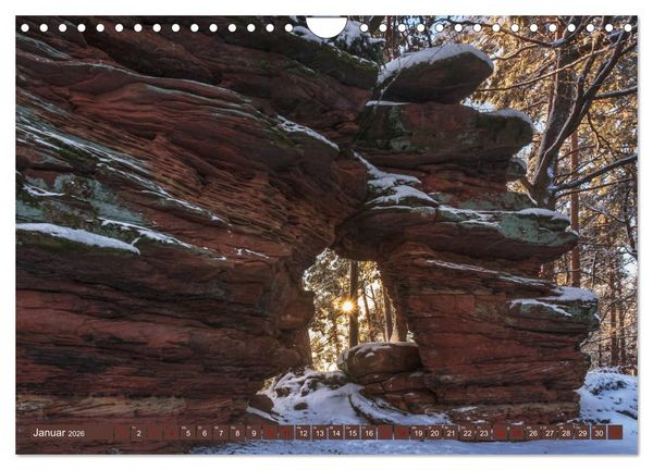 Produktbild: Augenschmaus Pf&auml;lzer Wald (Wandkalender 2026 DIN A4 quer), CALVENDO Monatskalender
