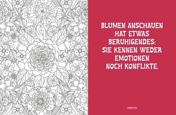 Produktbild: Colorful Mandala &ndash; Botanischer Garten