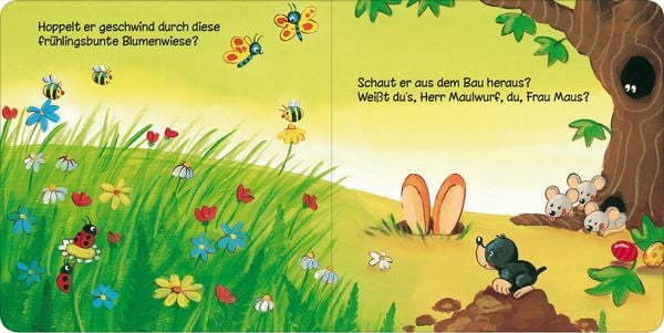 Produktbild: Wo bist du, kleiner Osterhase?