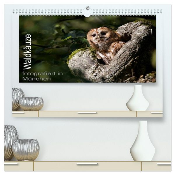 Produktbild: Waldk&auml;uze, fotografiert in M&uuml;nchen (hochwertiger Premium Wandkalender 2026 DIN A2 quer), Kunstdruck in Hochglanz