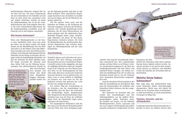 Produktbild: Einheimische Schnecken