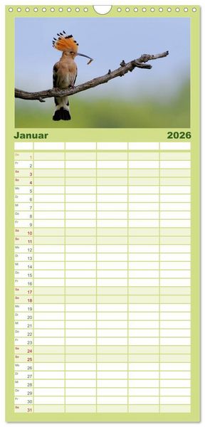 Produktbild: Familienplaner 2026 - Wiedehopf mit 5 Spalten (Wandkalender, 21 x 45 cm) CALVENDO