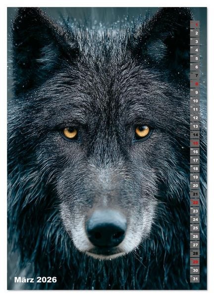 Produktbild: W&ouml;lfe aus aller Welt (hochwertiger Premium Wandkalender 2026 DIN A2 hoch), Kunstdruck in Hochglanz
