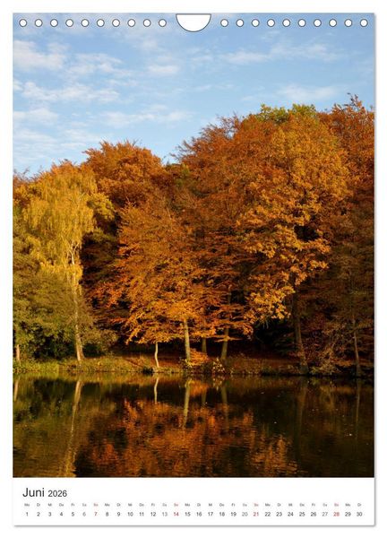 Produktbild: Faszination der Farben im Naturpark Lappwald (Wandkalender 2026 DIN A4 hoch), CALVENDO Monatskalender