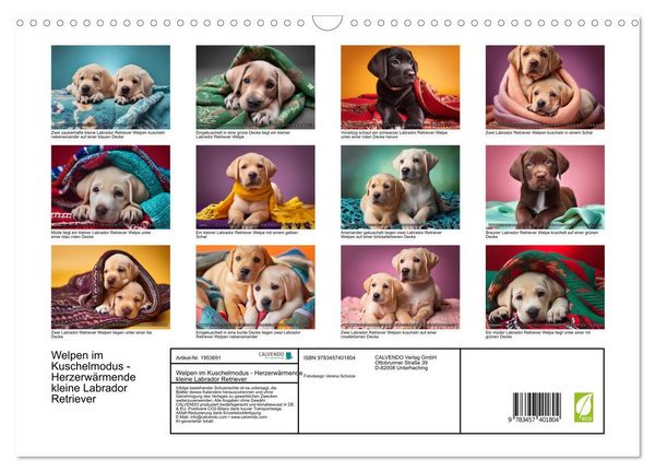 Produktbild: Welpen im Kuschelmodus - Herzerw&auml;rmende kleine Labrador Retriever (Wandkalender 2026 DIN A3 quer), CALVENDO Monatskalender