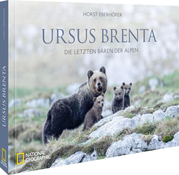Ursus Brenta — Die Rückkehr der Bären in die Alpen, Gebundene Ausgabe von Horst Eberhöfer, National Geographic Deutschland, 978-3-9870114-6-7