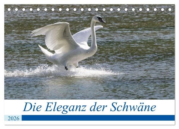 Produktbild: Die Eleganz der Schw&auml;ne (Tischkalender 2026 DIN A5 quer), CALVENDO Monatskalender