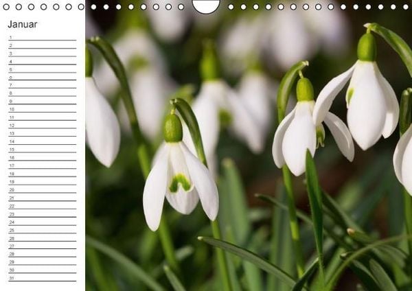 Produktbild: Ich denk an Dich ... Pers&ouml;nlicher Terminkalender (Wandkalender immerw&auml;hrend DIN A4 quer)