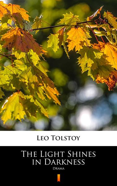 Produktbild: The Light Shines in Darkness