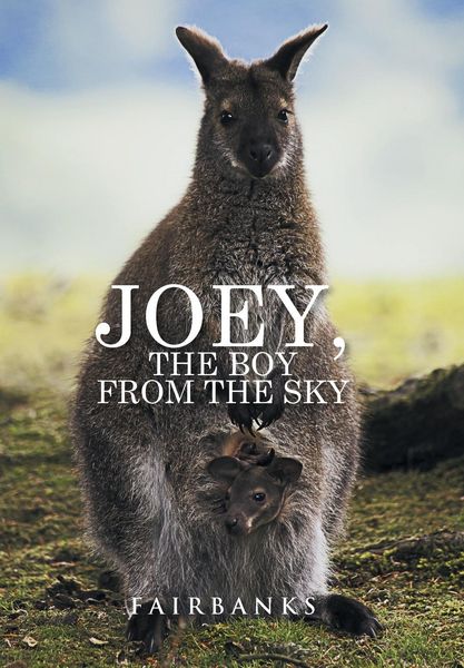 Produktbild: Fairbanks: Joey, the Boy from the Sky