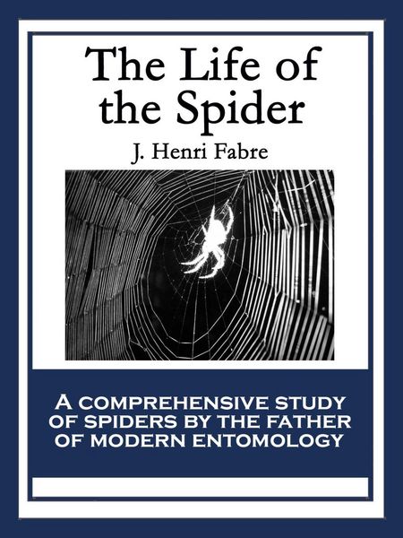 Produktbild: The Life of the Spider