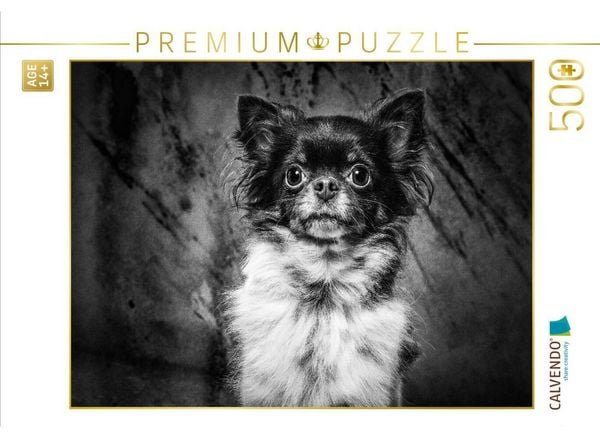 CALVENDO Puzzle Chihuahua | 500 Teile Lege-Größe 48 × 36 cm Foto-Puzzle für Erwachsene