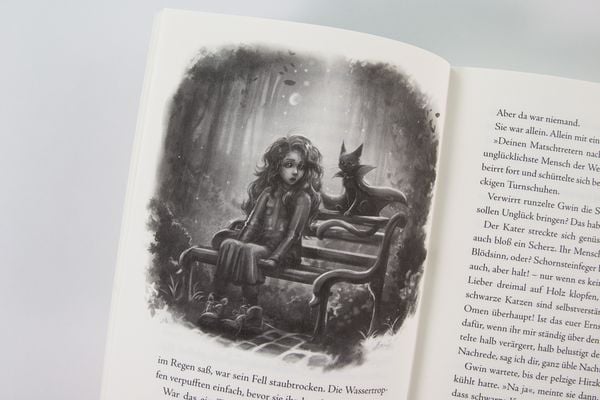 Produktbild: Gwin und das Herz des Drachen (Band 1)