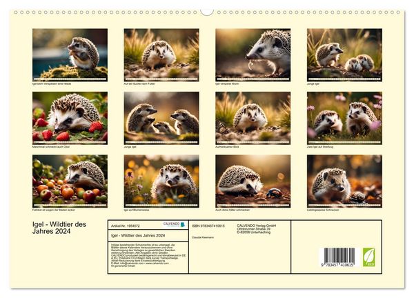 Produktbild: Igel - Wildtier des Jahres 2024 (hochwertiger Premium Wandkalender 2026 DIN A2 quer), Kunstdruck in Hochglanz