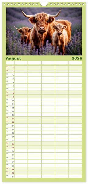 Produktbild: Familienplaner 2026 - Highland K&uuml;he mit 5 Spalten (Wandkalender, 21 x 45 cm) CALVENDO