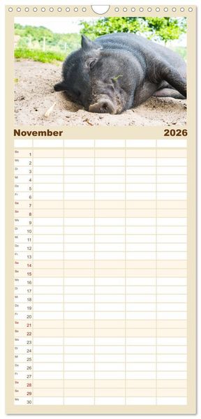Produktbild: Familienplaner 2026 - Geliebte Tiere auf dem Bauernhof mit 5 Spalten (Wandkalender, 21 x 45 cm) CALVENDO